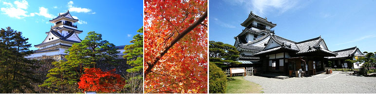 โคจิ – สวนพฤกษศาสตร์มาคิโนะ – ปราสาทโคจิ – ตลาดคุเระไทโช – ชิมันโตะ - 2