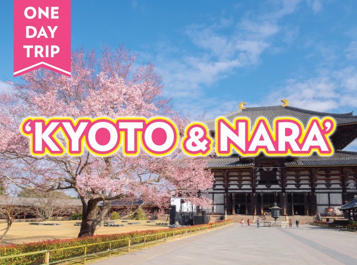 Kyoto Day Tour Package Kyoto Day Tour Package