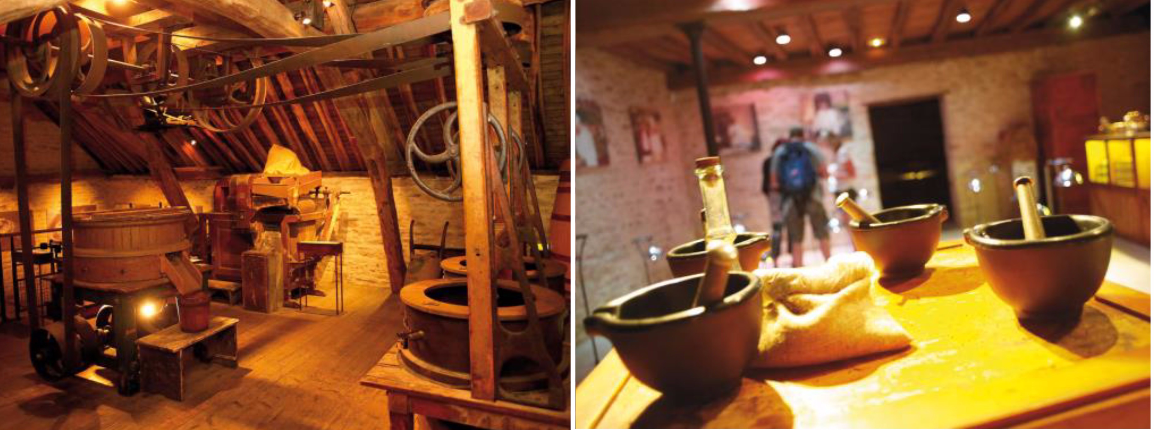 ดิจง – ตลาดเช้า Les Halles – โบน – โอเตล เดอ โบน – พิพิธภัณฑ์มัสตาร์ดฟาลโลต์ –	ไวน์ชาโตว์ของปมมาร์ – ชิมไวน์ – ดิจง - 2