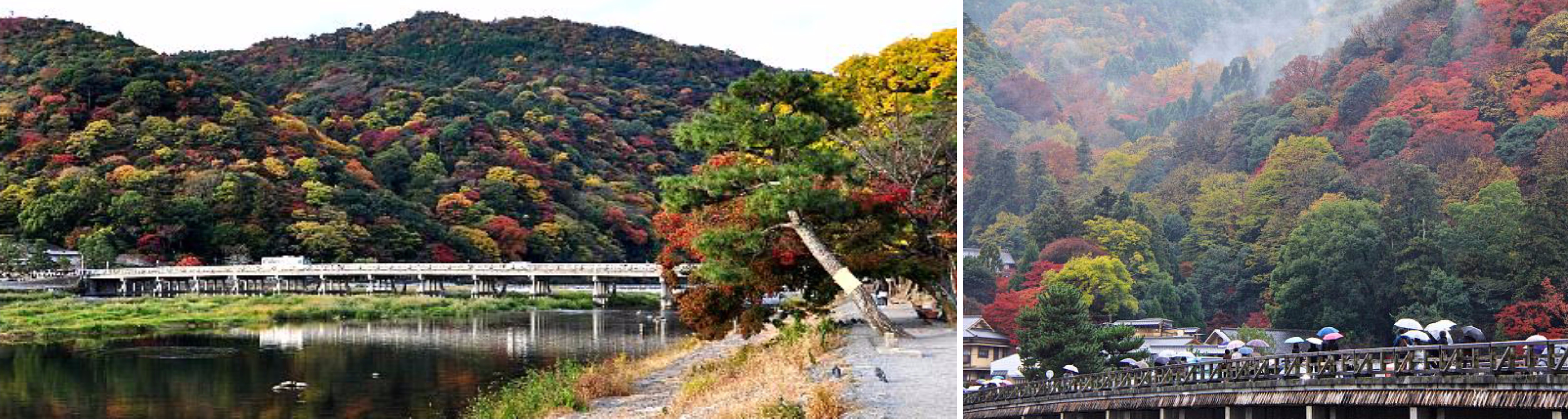 โอซาก้า – คาเมโอกะ – นั่งรถไฟสายโรแมนติก – เขาอาราชิยามะ – สะพานโทเกะซึเคียว – วัดเทนริวจิ – ป่าไผ่ – โอซาก้า - 2